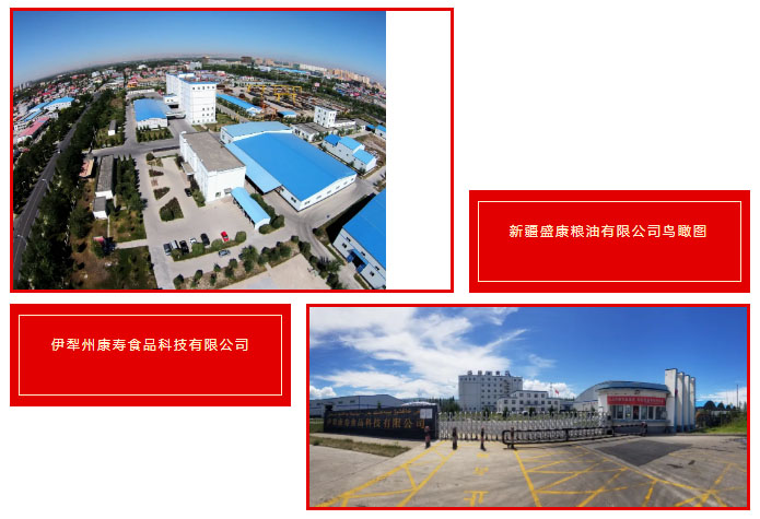 优发国际·随优而动一触即发